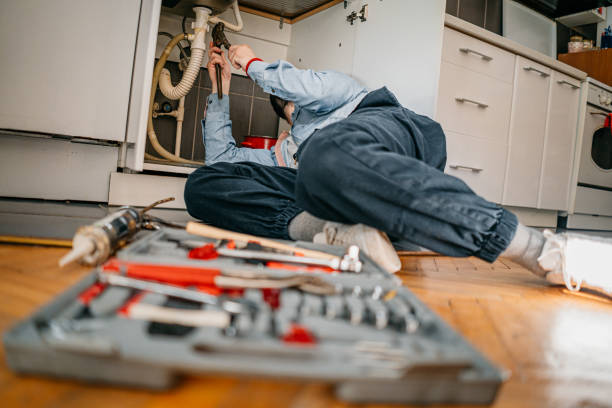 Best Boilers & Radiators  in Phoenix, IL
