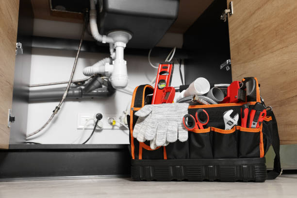 Best Sprinkler Systems  in Phoenix, IL