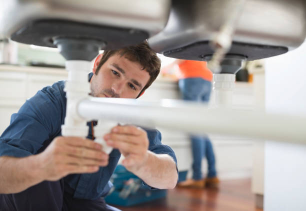 Best Local Plumber Services  in Phoenix, IL