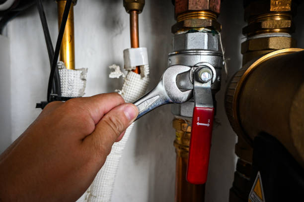 Best Same-Day Plumbing Service  in Phoenix, IL